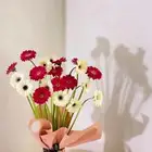 توصيل هدايا مندوب منسق هدايا