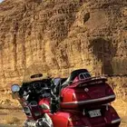 قولد وينق 2004