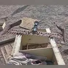 محش حراثه إيطالية
