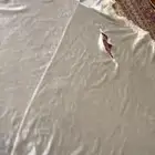 طرحه او غطا لفستان عروسه