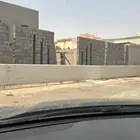 شينكو ساتر للفلل