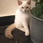 قطع للبيع