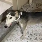 سلوقي اللي يلقاه   واللي هو عنده ولا يبي يرده عنده الشر