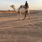 للبيع