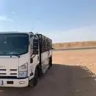 ايجار دينات مع سائقين