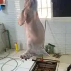 ذبايح الرس