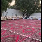 للإيجار استراحه مساحة 1300 متر في العفجه