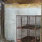 محكر