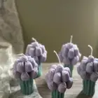 شموع و فواحات للمناسبات
