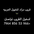 مزاد بيع جميع الخيول