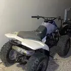 دباب سزوكي