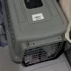 اغراض القطط