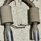كت موستنج