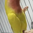 مطلوب روز ذكر انتاج