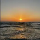 مطلوب شقة غير مفروشة