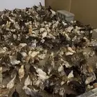 مشروع صغير جاهز