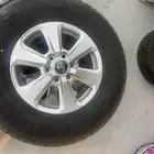 جنوط لاند