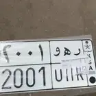 لوحة 2001