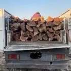 حطب سمر المدينه شرط يابس دنا