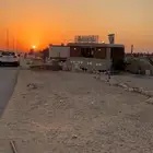 فود ترك عربة طعام