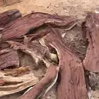 اخشاب و حطب للبيع