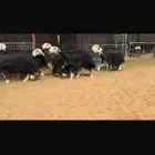 عرض بيع ثنوات وربعيات فاخره مضاريع سونار