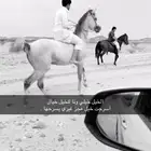 حصان شعبي للبيع كفو