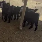 جفرات عوارض