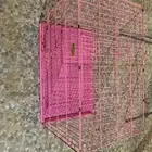 مسلتزمات حيوانات