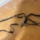 سرج ولباده ولجام استخدام شتويه وحده