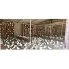 حمام فرنسي للبيع