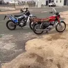 دباب صحراوي