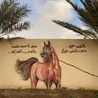 خيول للمناسبات