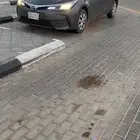 كورلا 2019 اللون فيراني الممشى 313