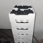 تمر عجوة للبيع
