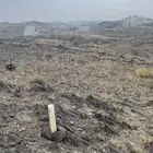 مخطط الخارجه