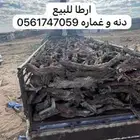 ارطي ارطا مستورد افريقي