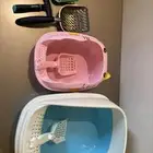 ادوات قطط حيوانات