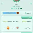حساب لودو