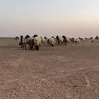 نعيم مقاني