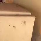 طبق حوض