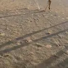 ضريبه رمانيه كفو السوم مابعد سيمت