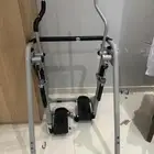 الغزال الطائر