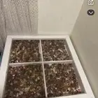 طاولة
