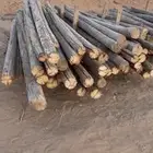عمدان خشب