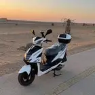 دباب عجيب 2026