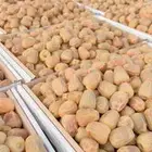 تمور القصيم الفاخره