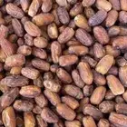 تمر صفري للبيع