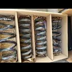 يايات دوج وطاره