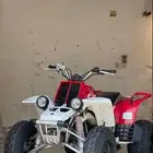 مطلوب دباب بانشي